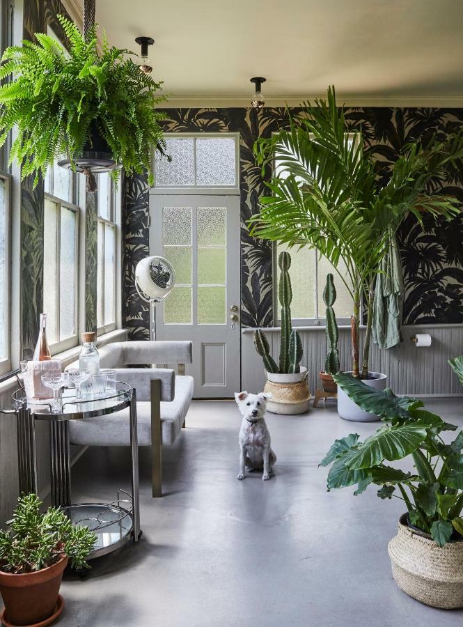 Dreamers Bnb วิลมิงตัน ภายนอก รูปภาพ